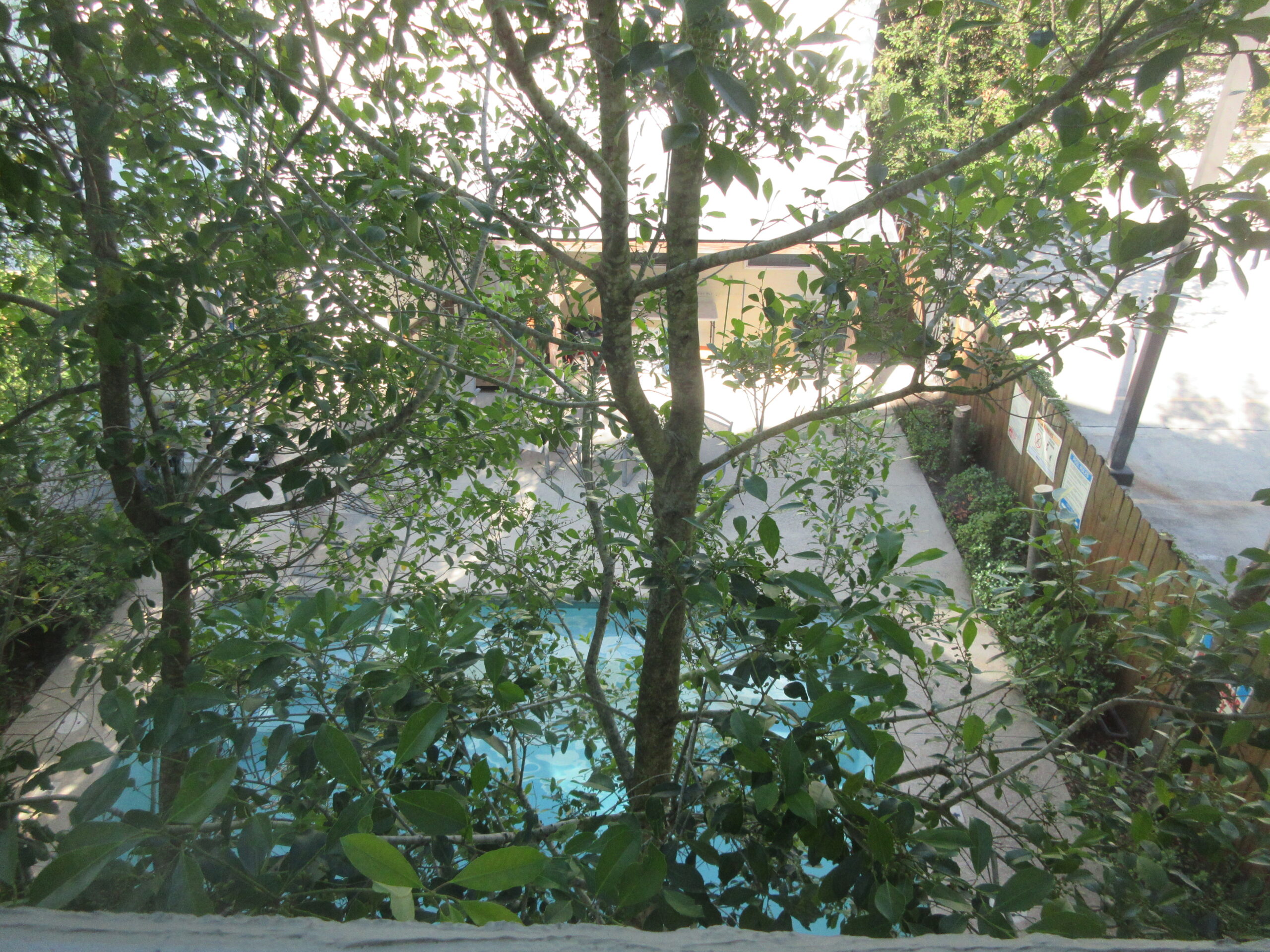 Clear residential backyard swimming pool maintained with professional filter service in Winnipeg